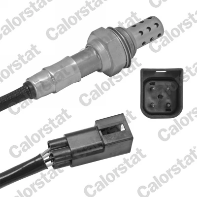 Oxygen Sensor